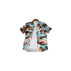 Men's Beach Scenery Button Up Short Sleeve Hawaiian Shirt For Summer, Vacation Resort, Men's Shirt