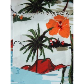 Men's Beach Scenery Button Up Short Sleeve Hawaiian Shirt For Summer, Vacation Resort, Men's Shirt